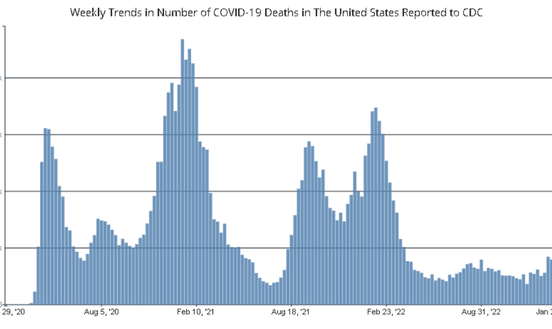 Deaths due to covid graph