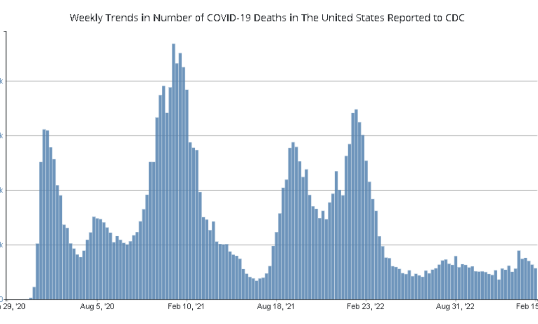 Graph showing national deaths from Covid-19