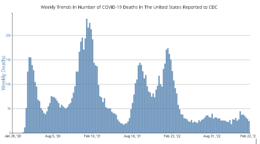 Blue graph illustrating the number of Covid deaths
