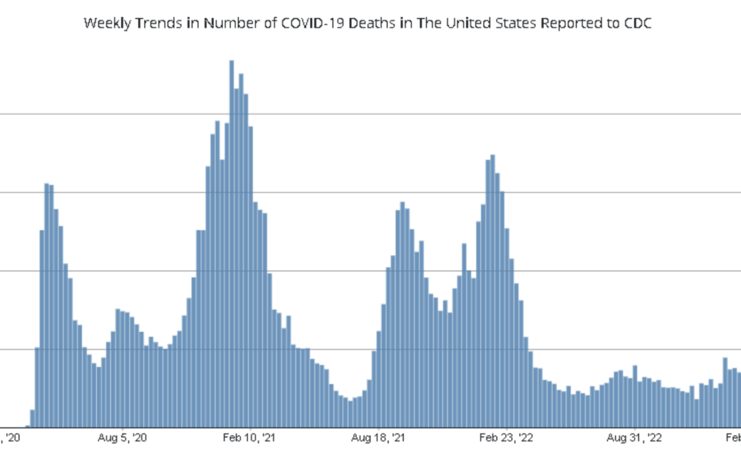 Blue graph illustrating the number of Covid deaths
