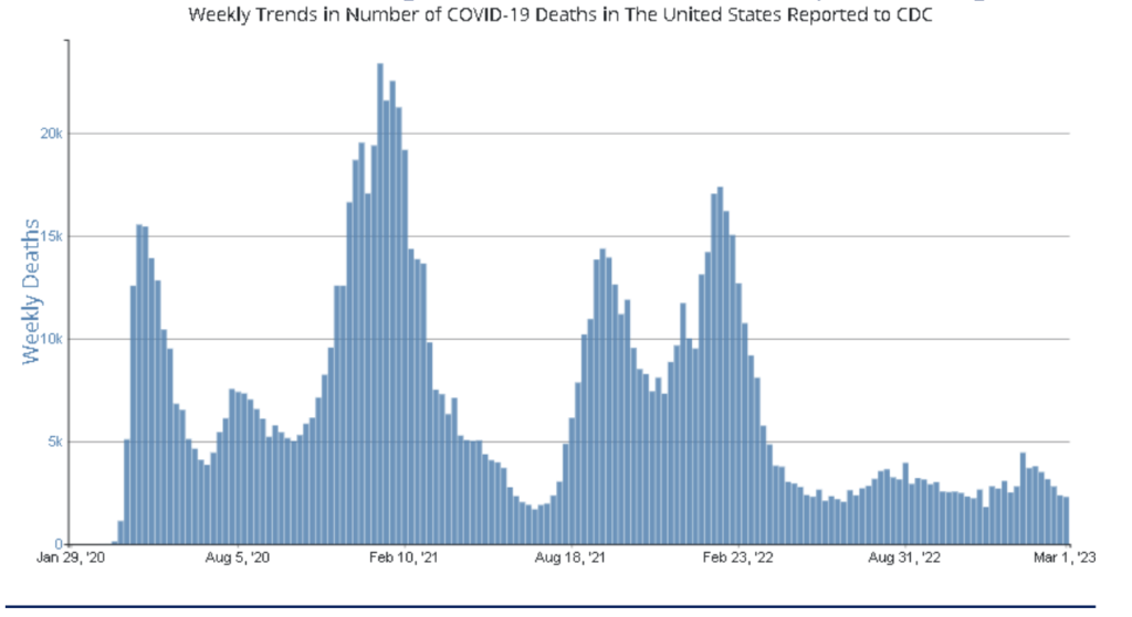 Blue chart showing the national Covid deaths to date in the US 