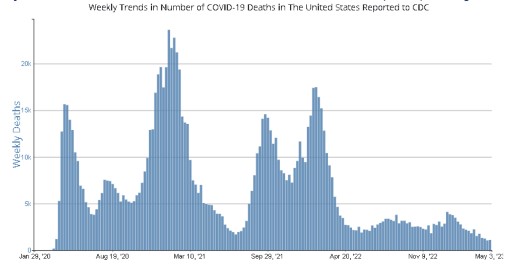 Blue chart showing the national Covid deaths to date in the US